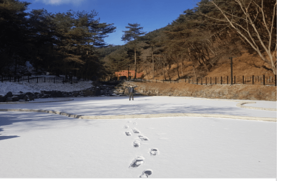 국립자연휴양림 