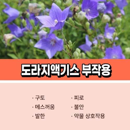 도자리액기스 부작용