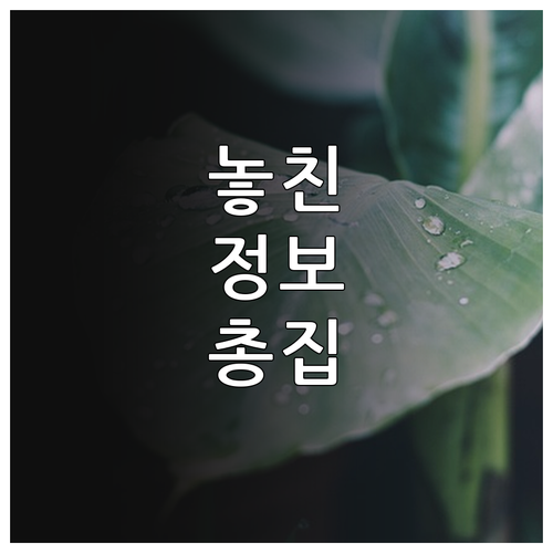 농가 주목 2025 고양시 시설원예 ..