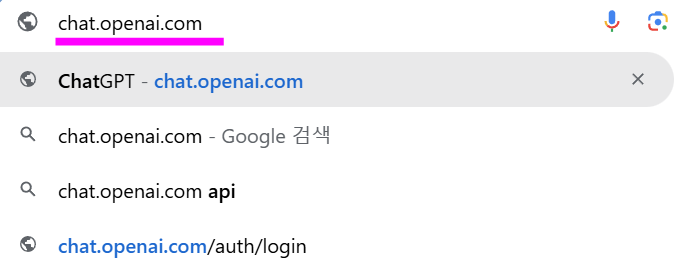 chat.openai.com 이라고 정확하게 입력