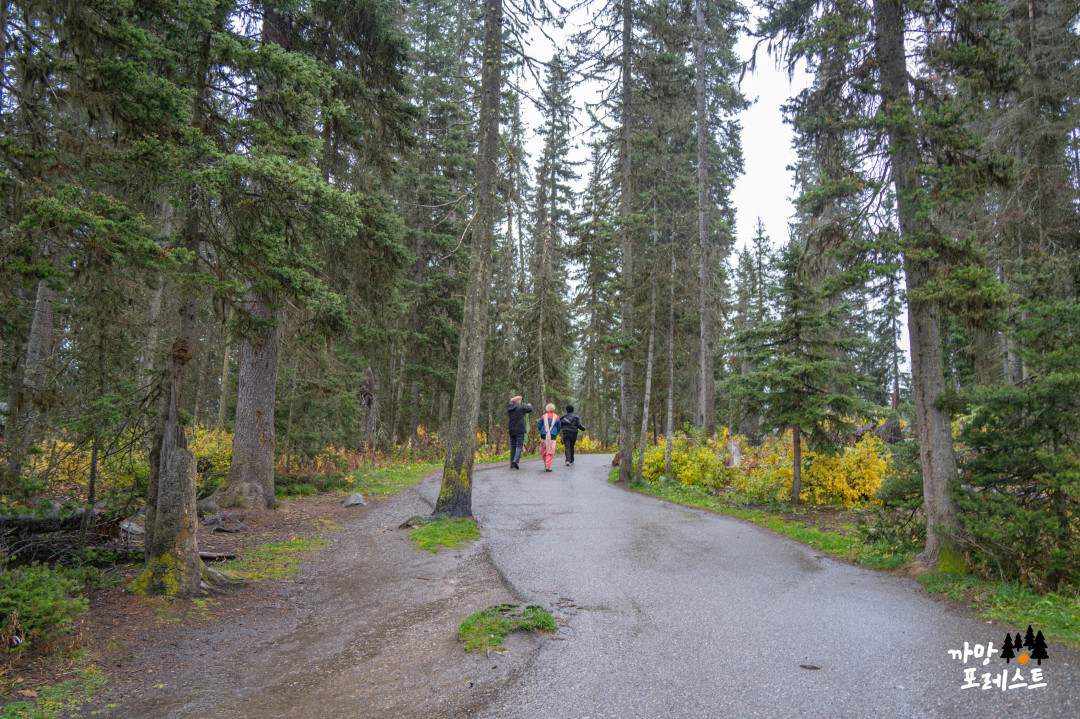 캐나다 레이크 루이스 산책로
