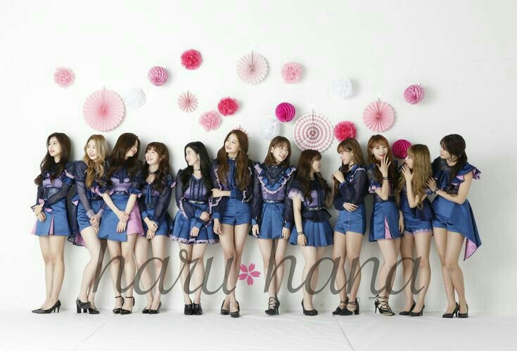 아이즈원 프로듀스48 사진 모음 아이즈원 프로듀스48 사진 모음