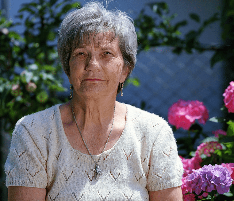 냉동 블루베리효능