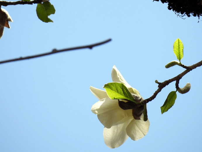 2025년 한라산 등반 예약제 완화! 진달래밭&middot;삼각봉 자유 입산 가능