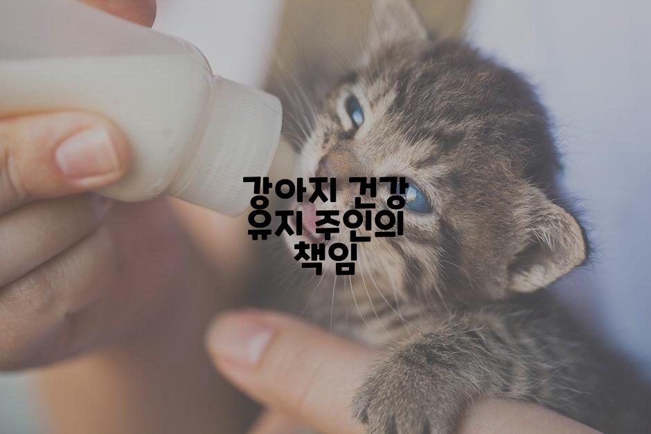 강아지 건강 유지 주인의 책임