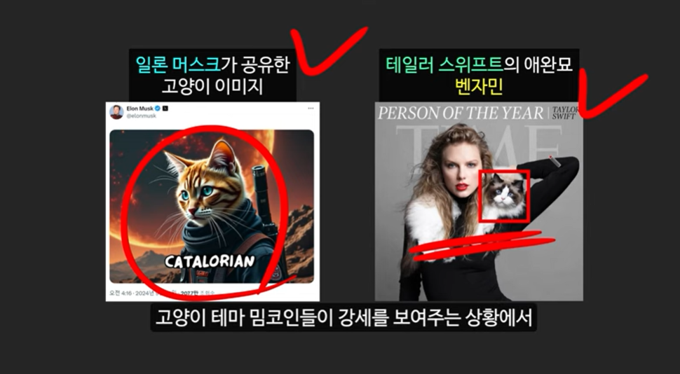 베이비 도지 코인의 급등 이유와 일론 머스크의 영향 ❘ 밈 코인 시장 전망