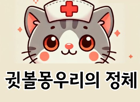 귓볼몽우리 왜 생길까? 원인부터 완벽한 관리법까지