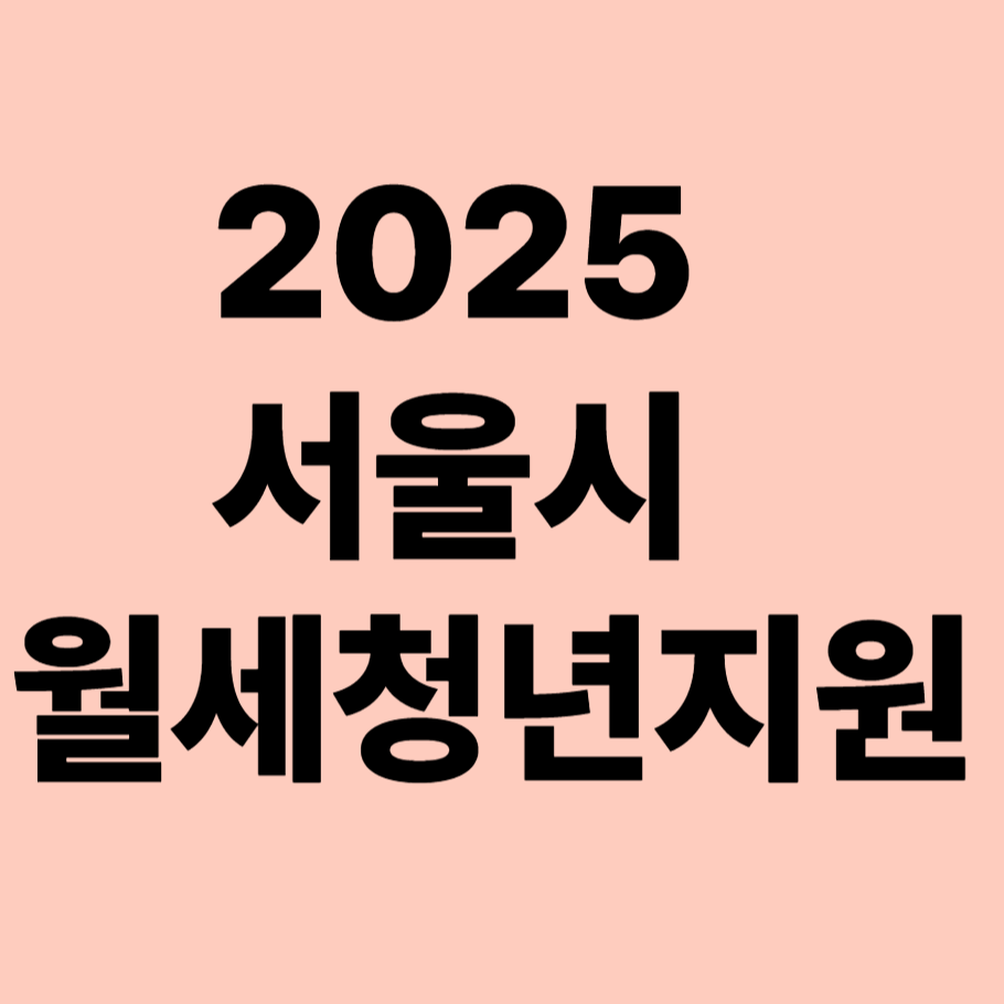 2025서울시 청년 월세지원