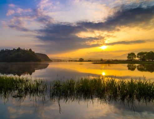 창녕 우포늪 일출