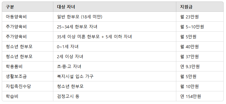 2025년 지원금 총정리