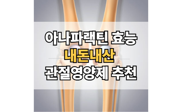 아나파랙틴-효능-내돈내산-관절영양제-추천