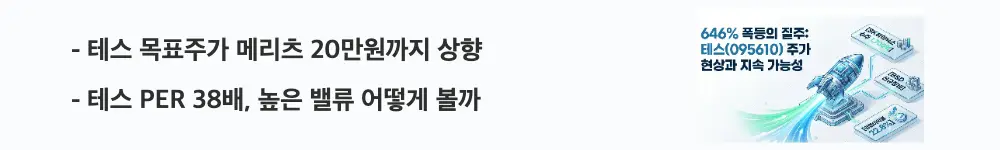 '테스 목표주가 메리츠 20만원까지 상향'이라는 문구가 포함된 웹배너 이미지. 이 이미지는 테스 목표주가 상향과 PER 밸류에이션 부담을 시각적으로 전달하며, 블로그의 테스 목표주가 전망과 관련된 내용을 설명함