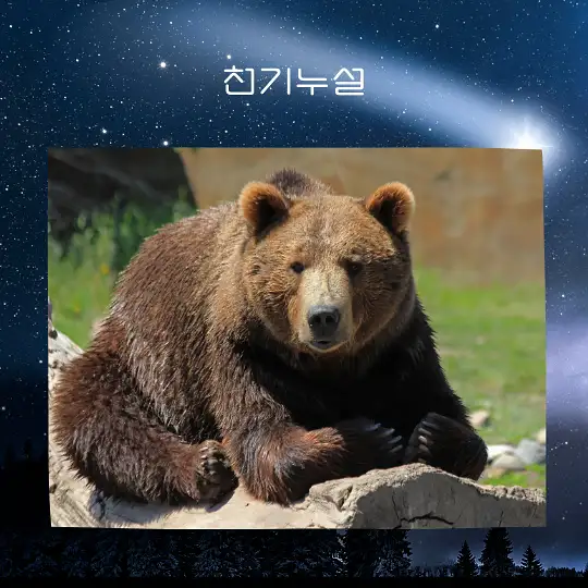 곰이 나오는 꿈 해몽