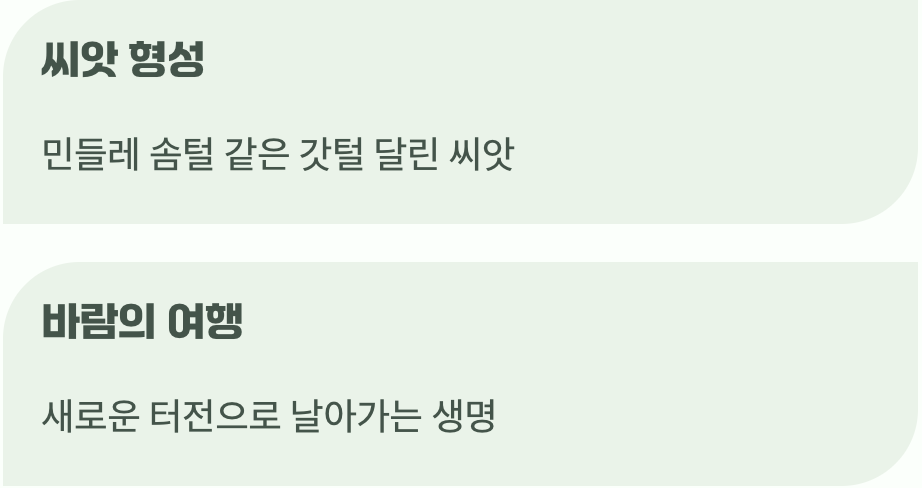 늦가을, 씨앗에 담긴 다음 해의 약속