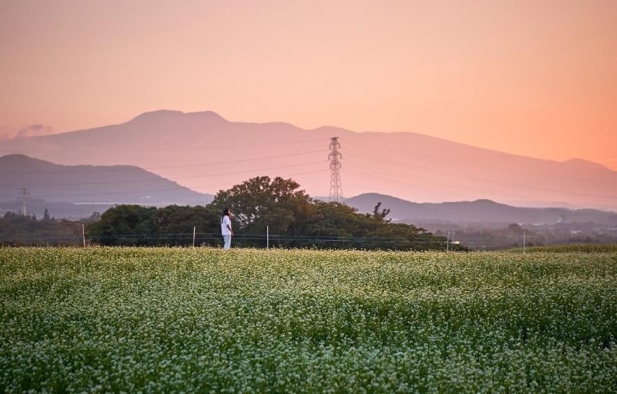10월 제주도 가볼만한 곳&#44; 축제