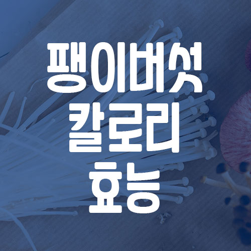팽이버섯-칼로리-성분-효능-부작용