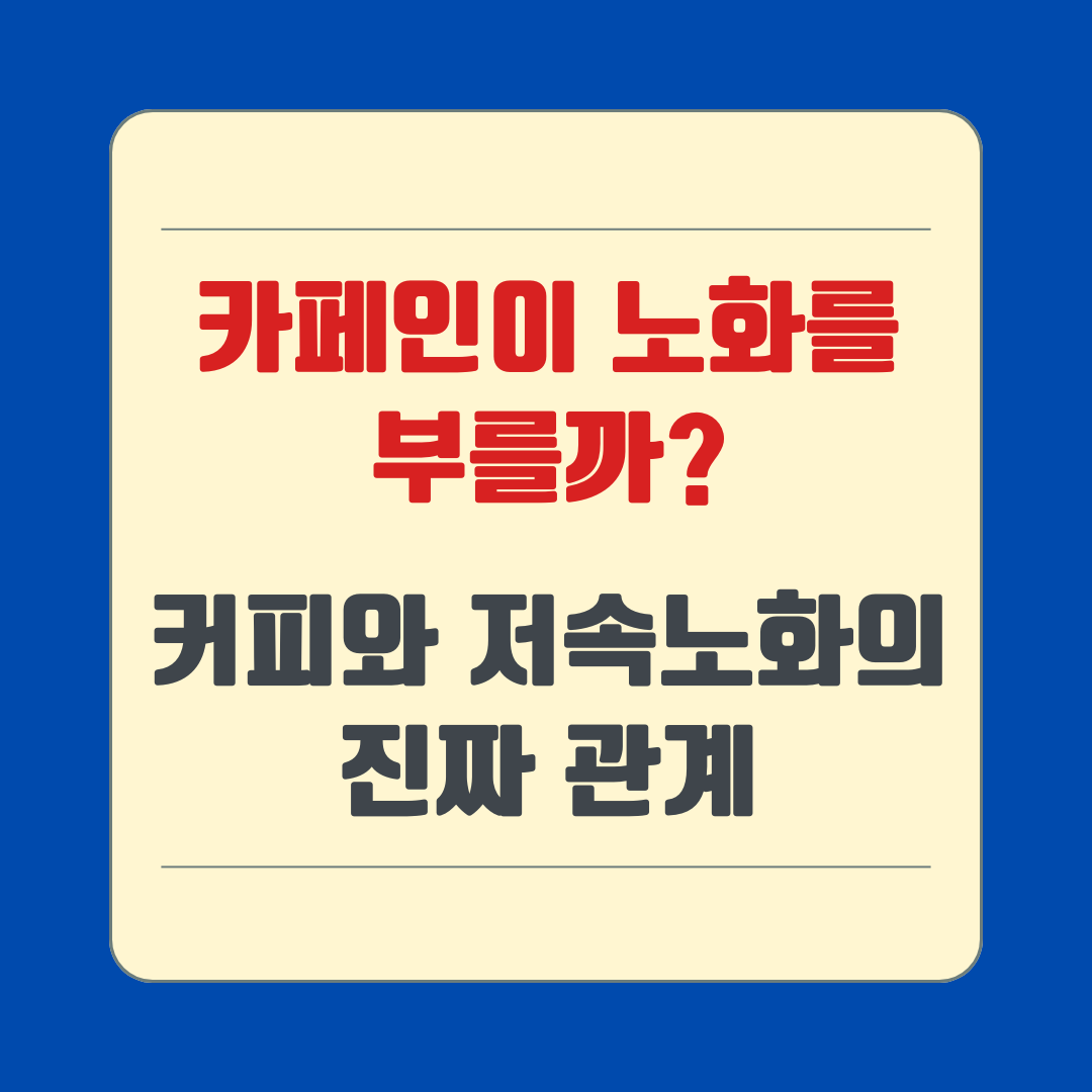 카페인이 노화를 부를까? 커피와 저속노화의 진짜 관계