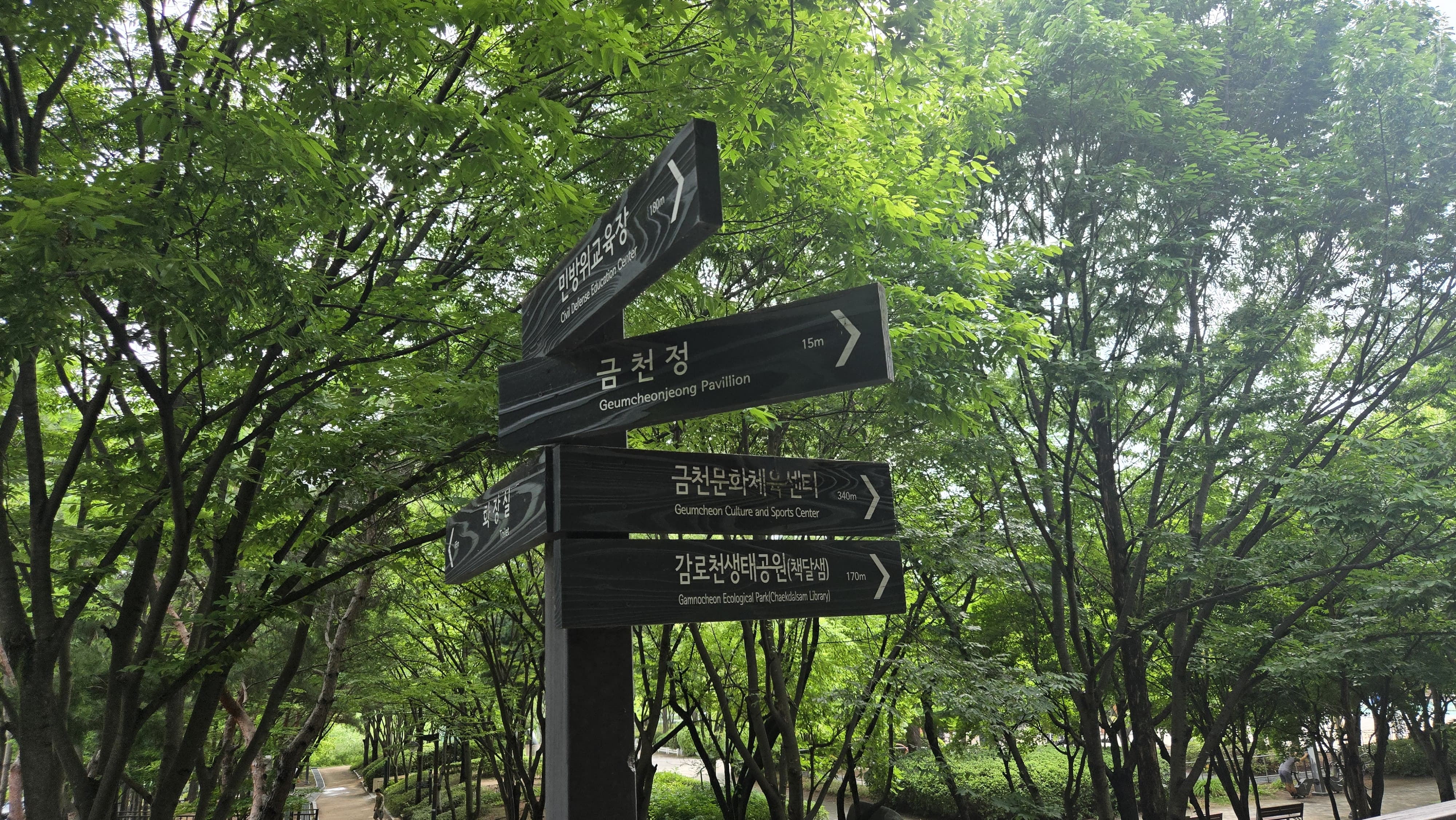 제가 실천하며 느낀 아침 운동의 변화 하루가 더활기차게