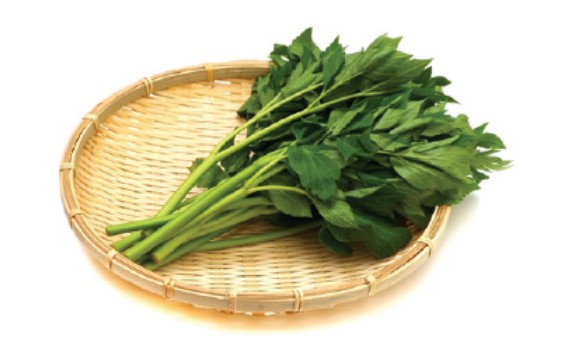 신선초(명월초) 효능, 부작용, 뿌리효능, 먹는방법(나물, 장아찌, 즙) 완벽 정리