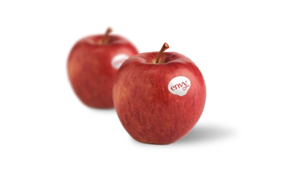 예산 엔비 사과