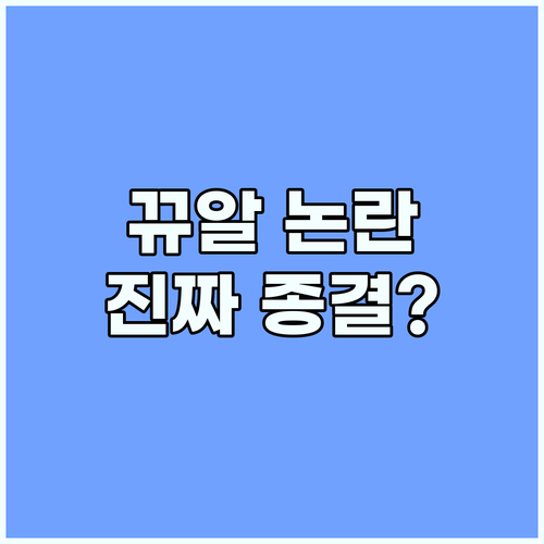 BJ 뀨알 피파4 논란 종결? 솔직 ..