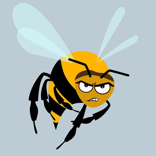 벌 뱀 대처법 관련 사진