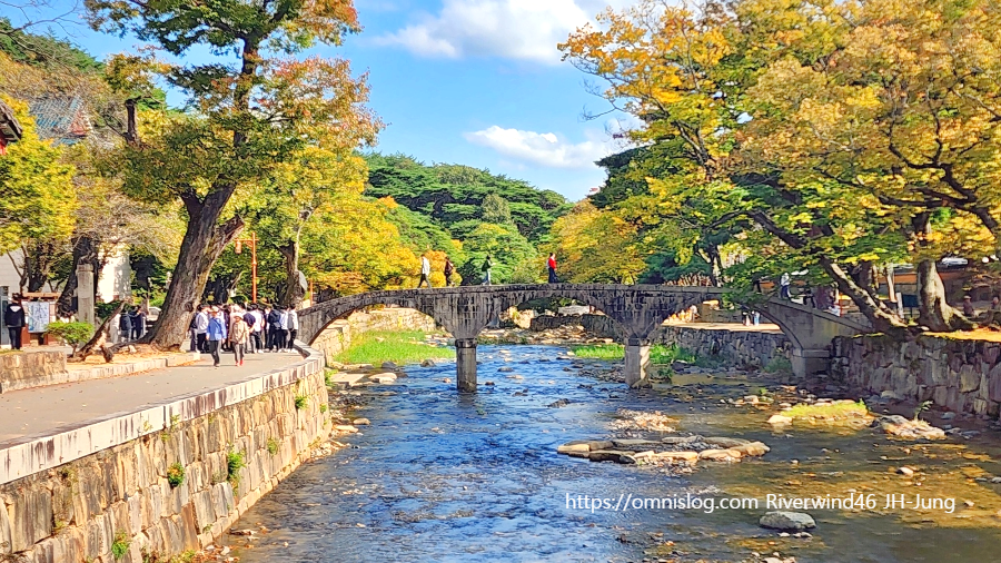 통도사계곡 단풍