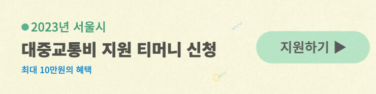 서울시-청년-대중교통비-티머니-카드