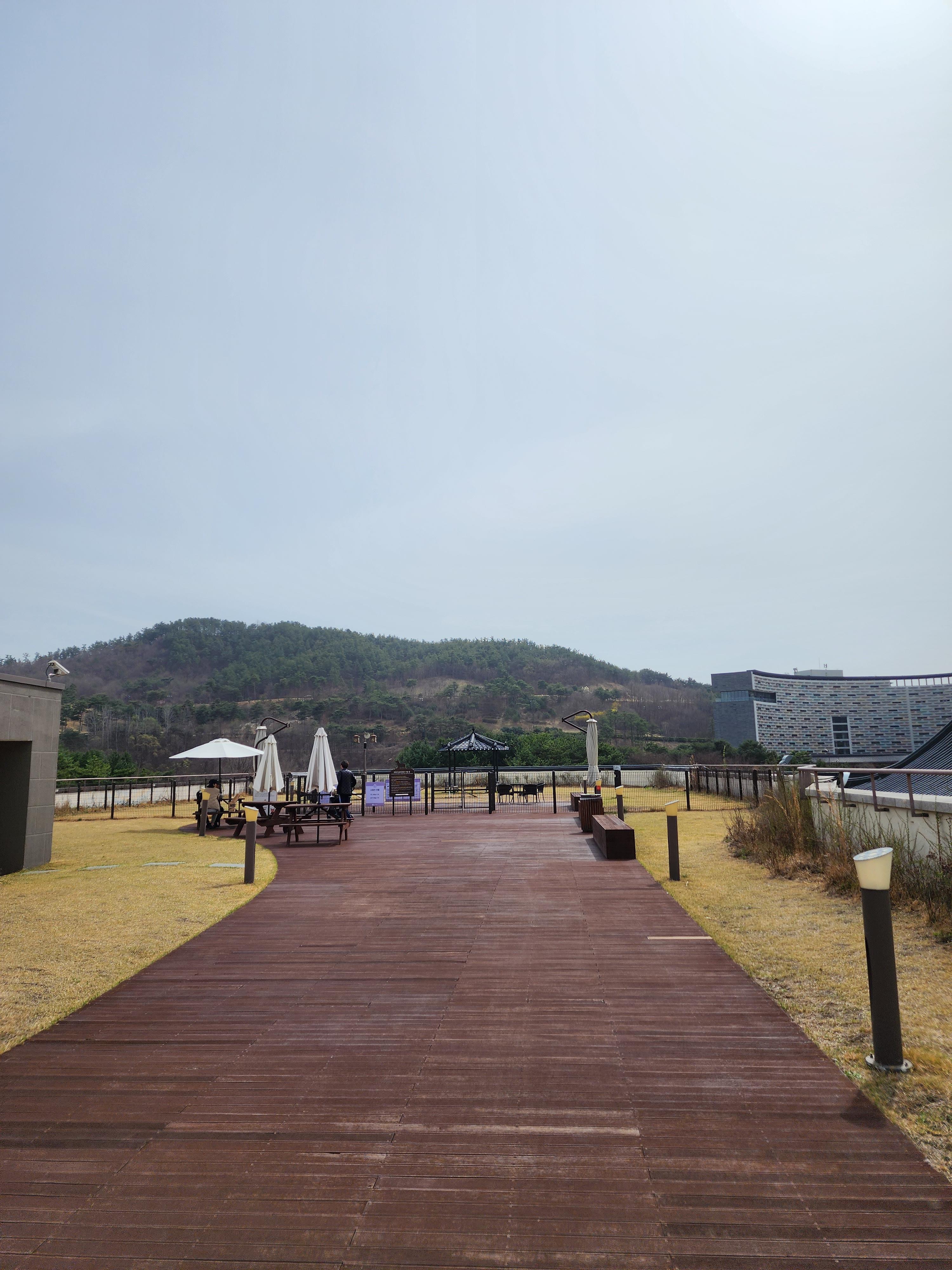 반려견과 부여롯데아울렛