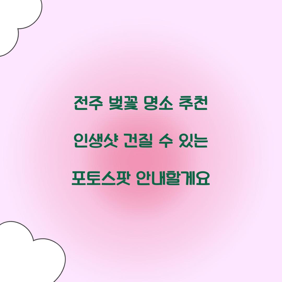 인생샷 건질 수 있는 전주 벚꽃 포토스팟