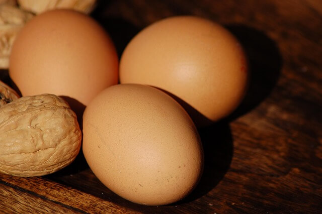 체중보다 중요한 체성분 관리의 원리: 건강한 몸을 만드는 진짜 기준