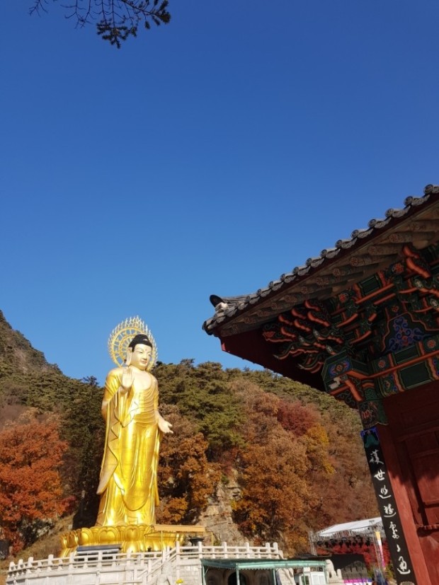 속리산 단풍시기