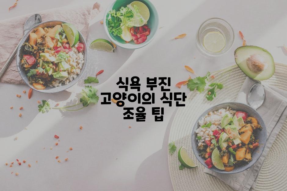 식욕 부진 고양이의 식단 조율 팁
