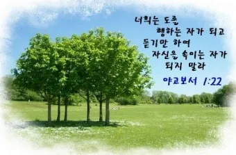 희망을 주는 성경구절 안식 위로 말씀_18