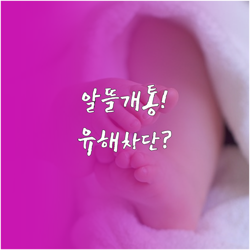 초등 입학 자녀 휴대폰, 알뜰폰 개통..