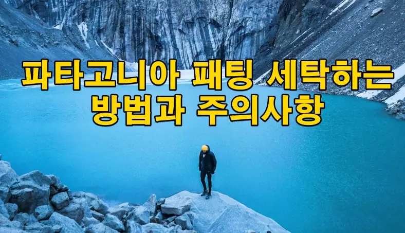 파타고니아 패팅 세탁하는 방법과 주의사항
