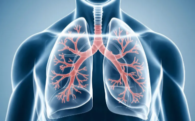 만성폐쇄성폐질환 관리방법