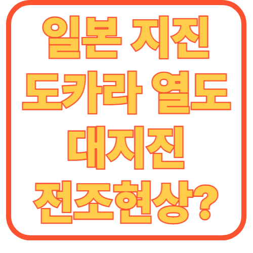 일본 대지진