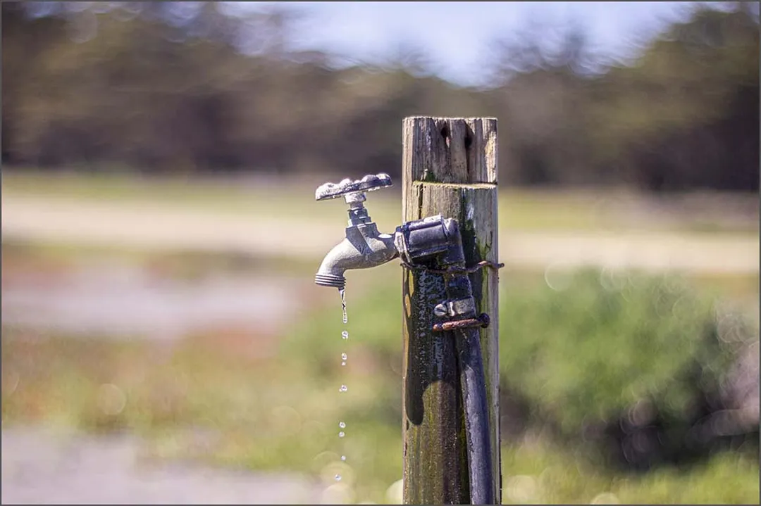 여름철 온열질환 발생 추이 기후 변화 연관성