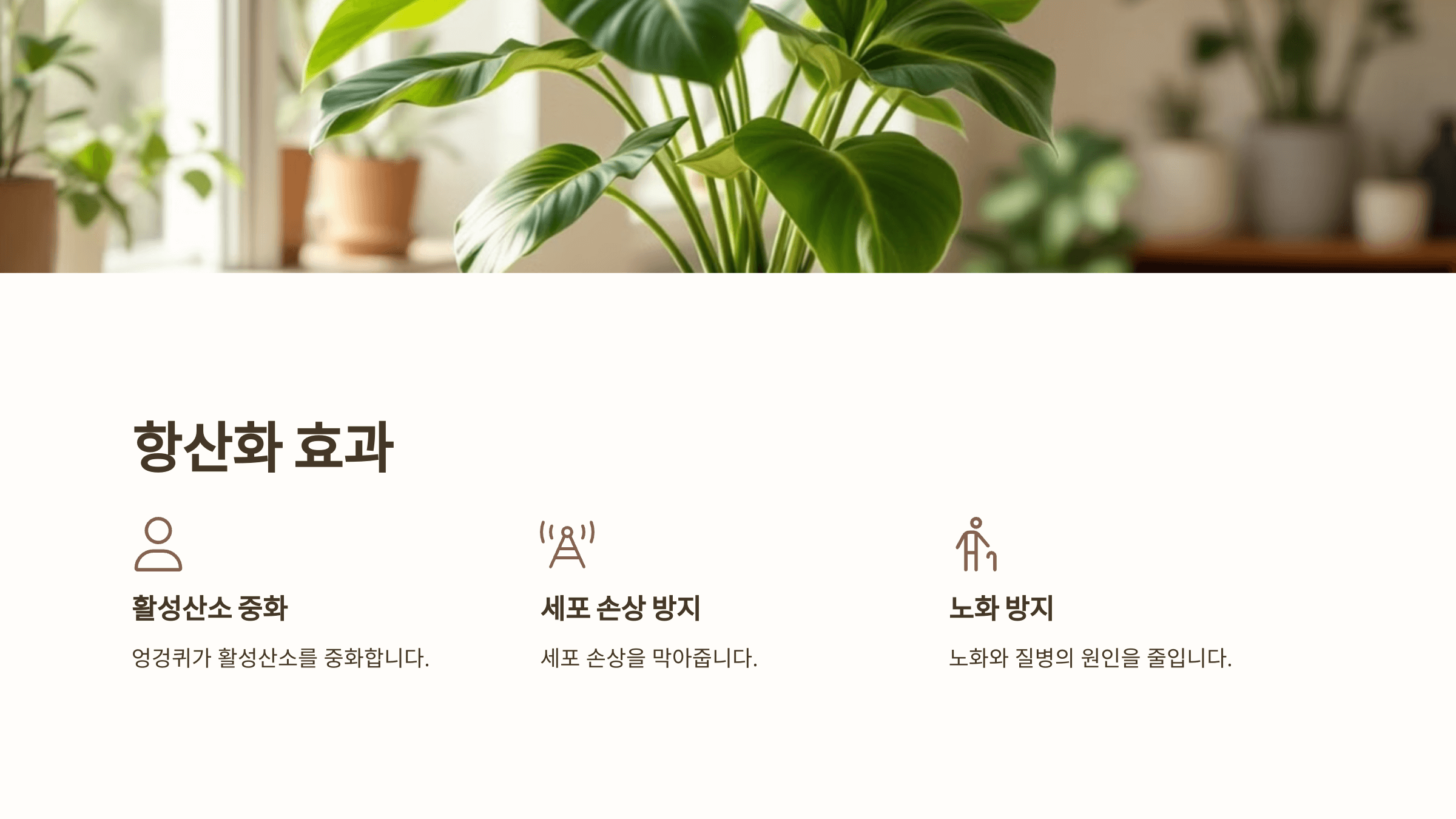 엉겅퀴와 관련된 사진입니다.