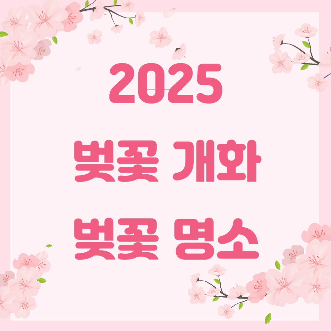 벚꽃 개화시기 및 벚꽃 명소