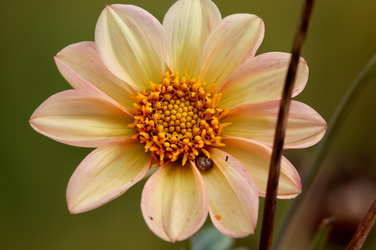 탈장 증상 총정리