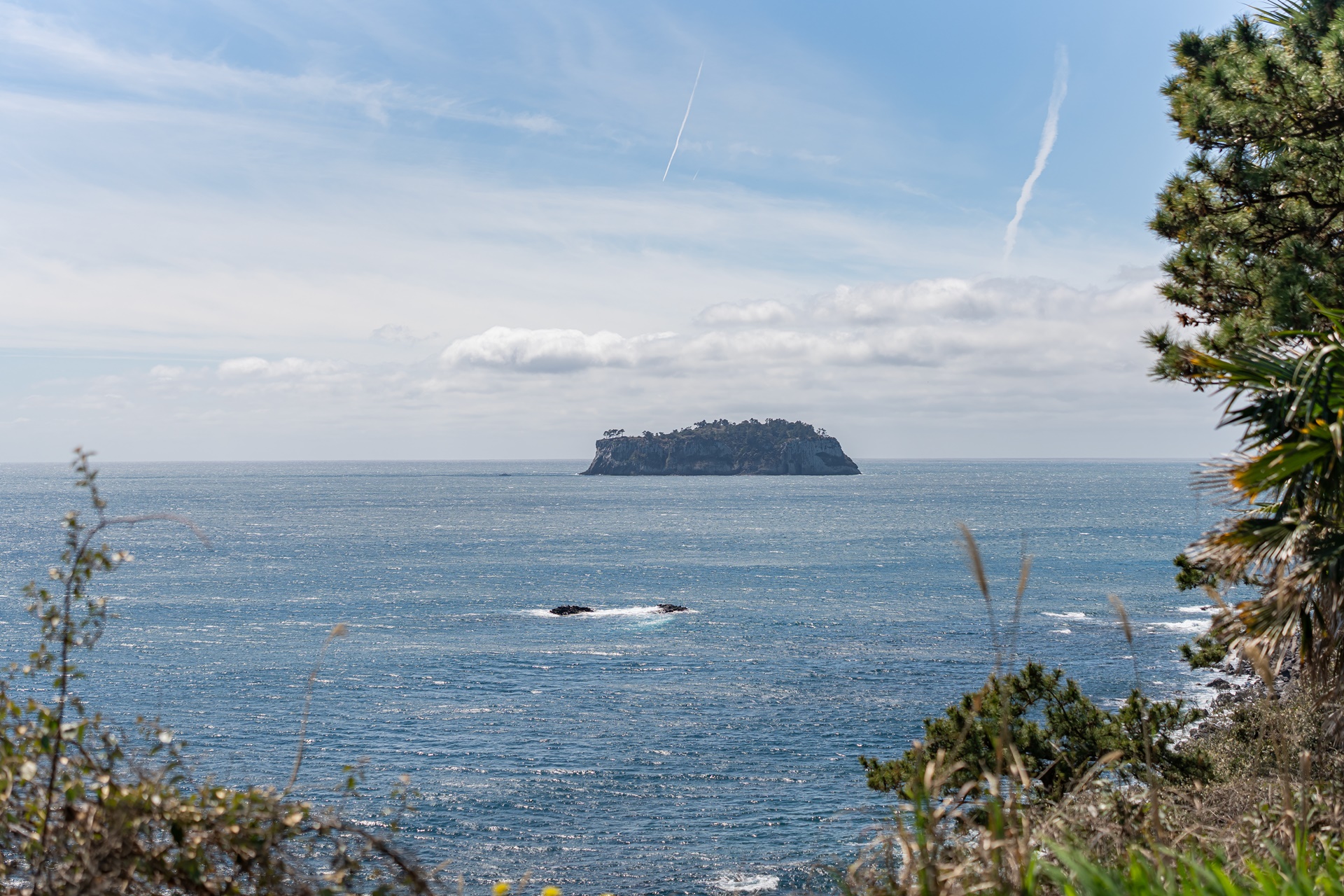 #JW가든 #JW메리어트제주 #댄싱두루미 #더플라잉호그 #아일랜드키친 #유채꽃 #제주사진 #제주여행 #제주유채꽃 #제주호텔