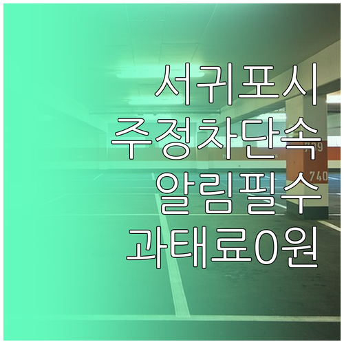서귀포시 주정차 단속 알림 서비스 신..