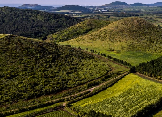 가을여행/11월/제주/감성/여행지