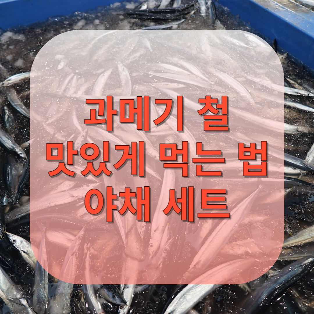 과메기 철, 맛있게 먹는 법, 야채세트