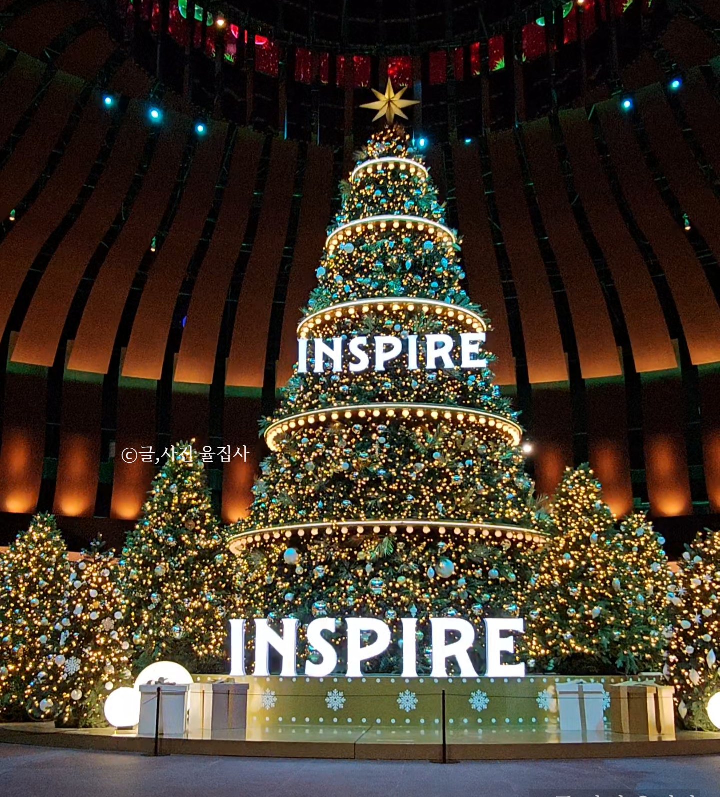 인스파이어크리스마스트리