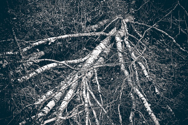 쿠팡 결제카드 변경 결제수단 삭제 방법