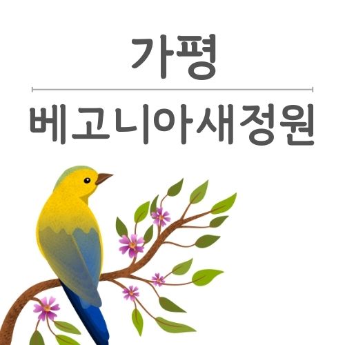 베고니아새정원 가평 가족여행
