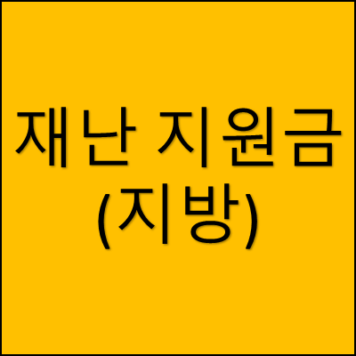 재난 지원금 지방